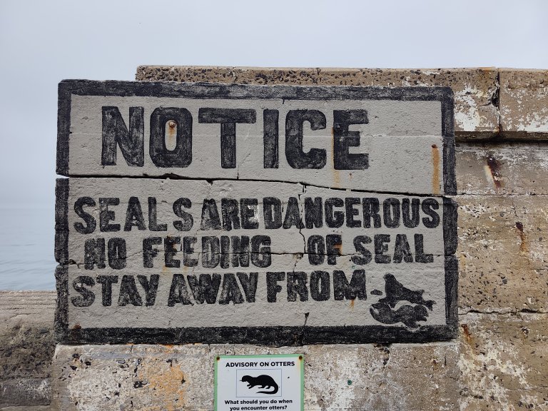 a board giving notice that seals are dangerous animals and that visitors shouldnt feed them. Visible along the Cape Peninsula Tour