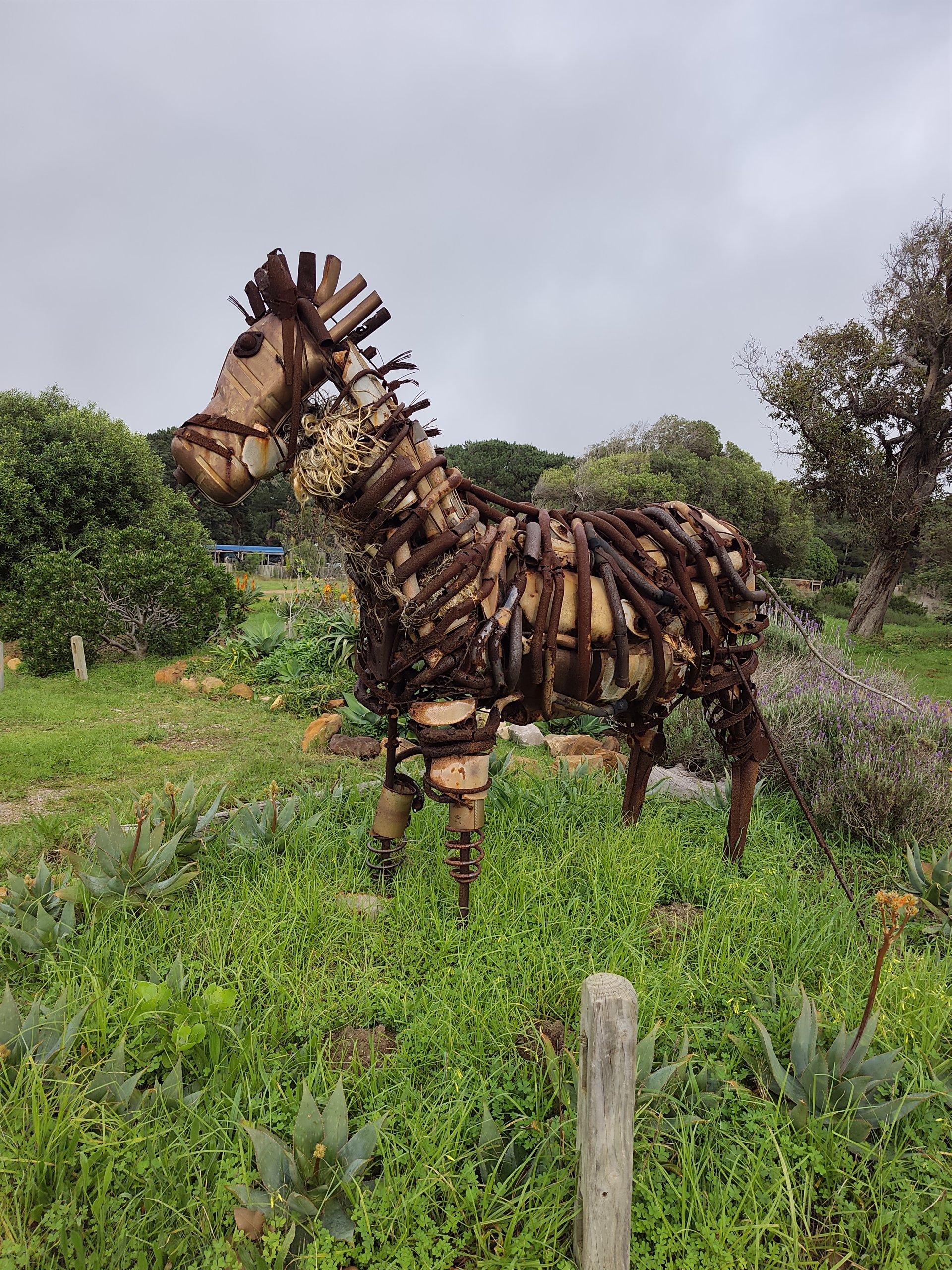 This trash Sculpture of a Horse is visible along the route of our Cape Peninsula Tour, at our lunch stop at Cape Farmhouse Beer Garden